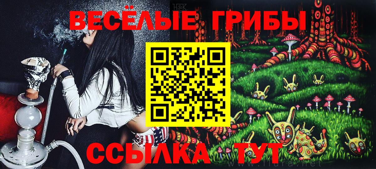 Луга  Псилоцибиновые грибы прущие грибы  Вход с VPN 